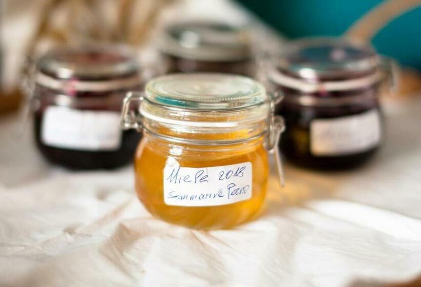 America Nei Boschi B&b