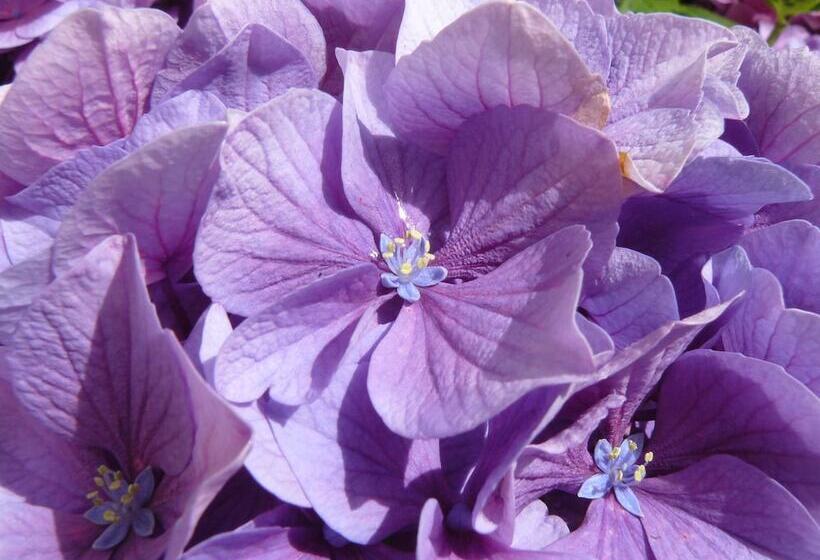 צימר A L'ombre Des Pommiers