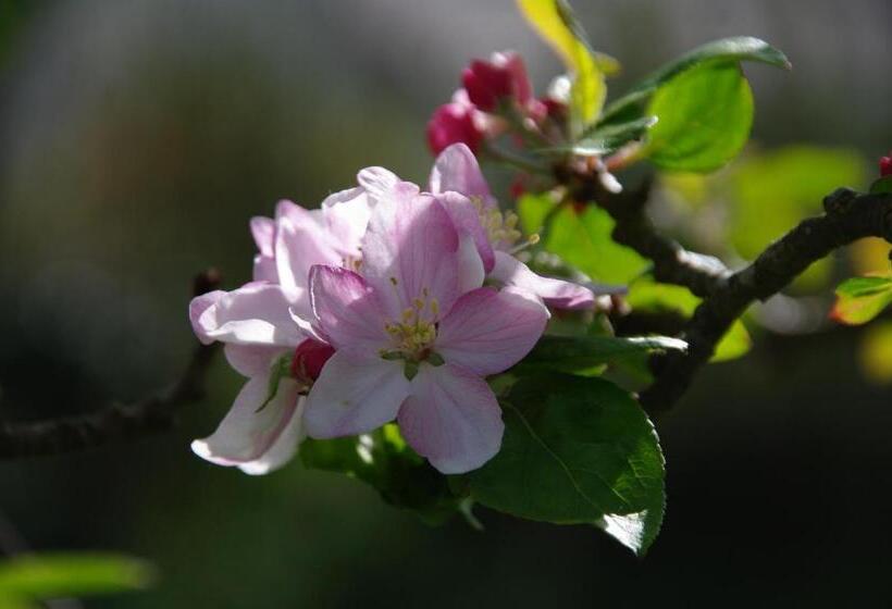 צימר A L'ombre Des Pommiers