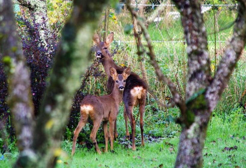 צימר A L'ombre Des Pommiers