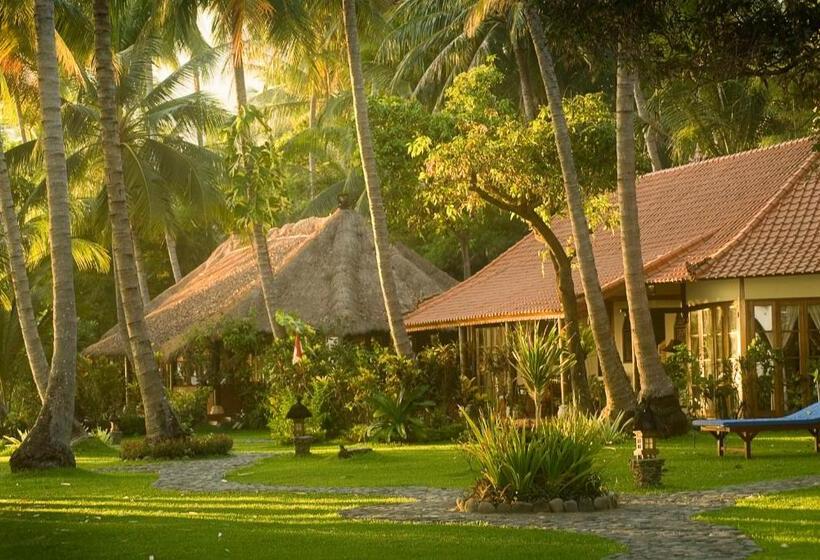 בית מלון כפרי Gaia Oasis Beach Resort