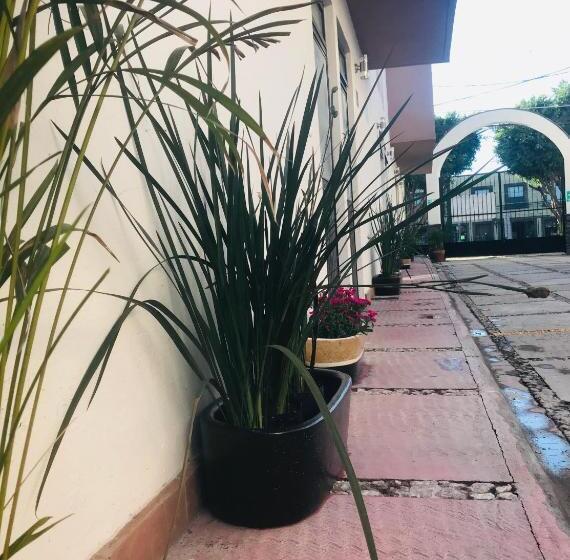 Отель Camino De Allende