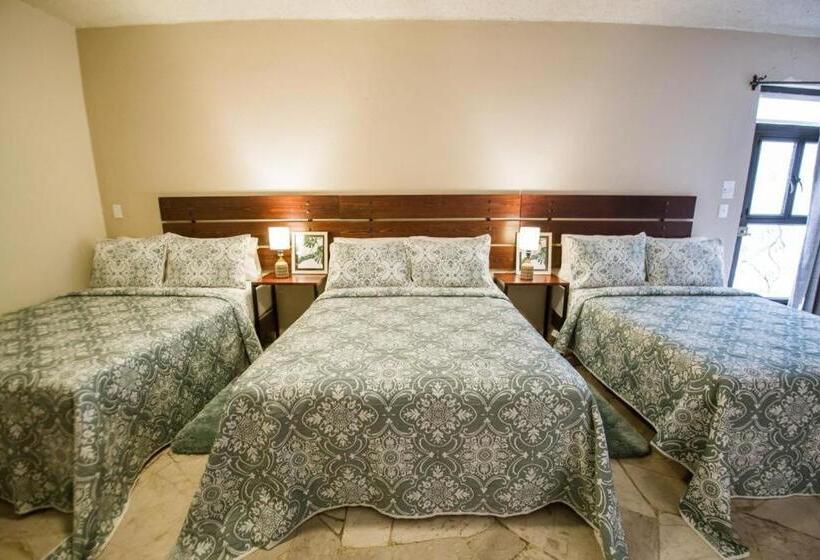 Отель Camino De Allende