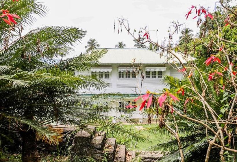 Отель The Flame Tree Estate &