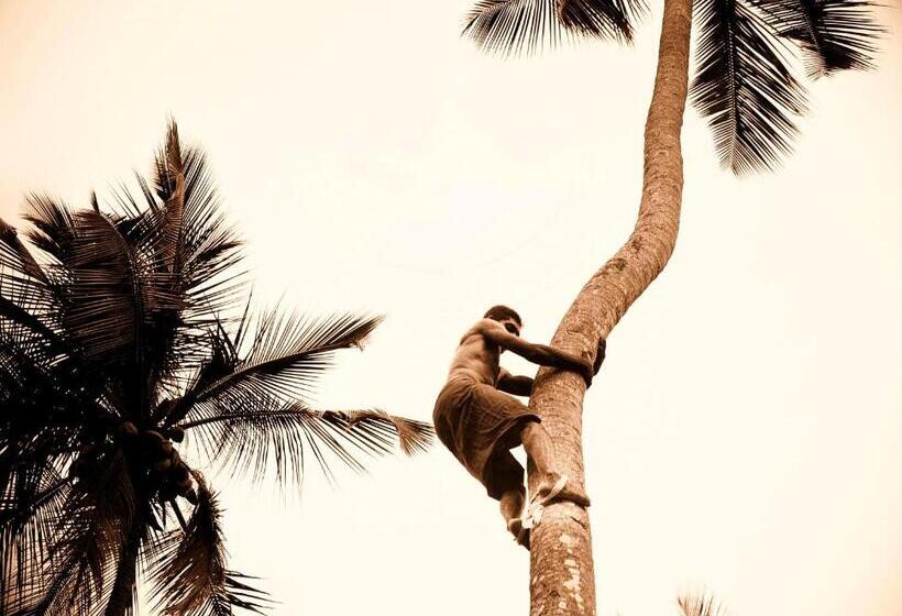 Отель The Flame Tree Estate &