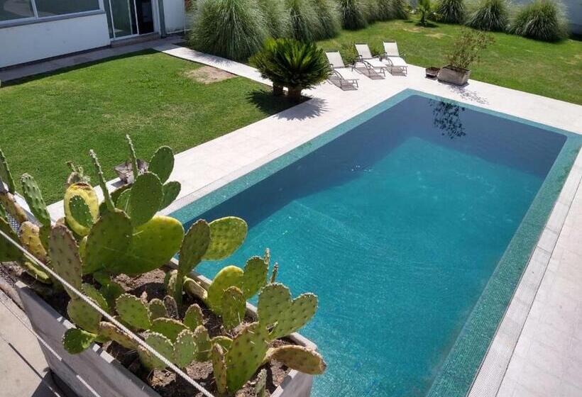 تختخواب و صبحانه Galería  Casa De Húespedes