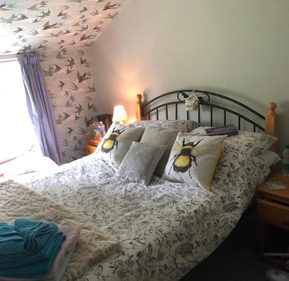 Forest View Bed And Breakfast