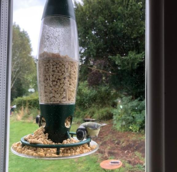 Forest View Bed And Breakfast