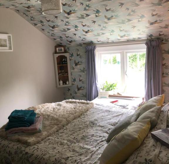 Forest View Bed And Breakfast