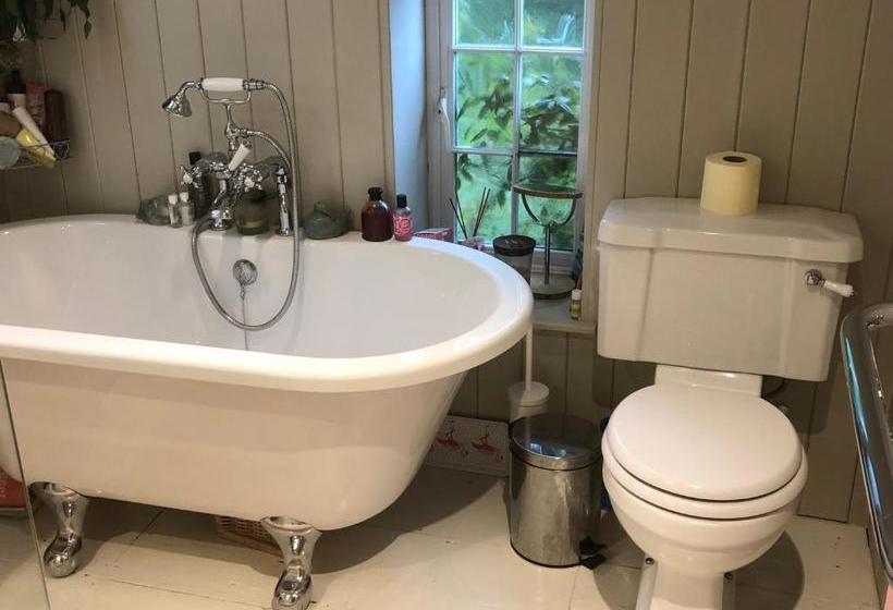 Forest View Bed And Breakfast