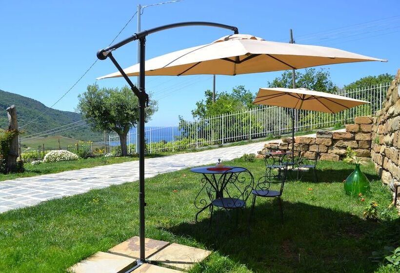 בית מלון כפרי Myrtus