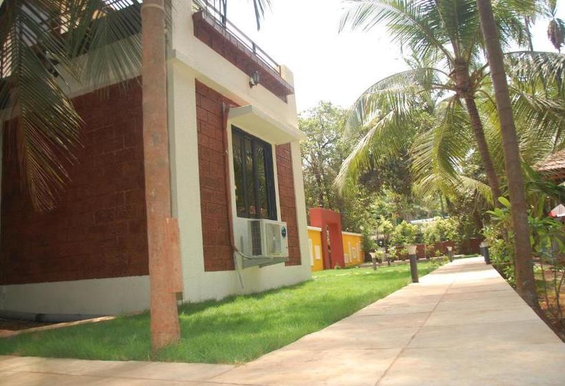 Hotel Nivaant Holidays Alibug