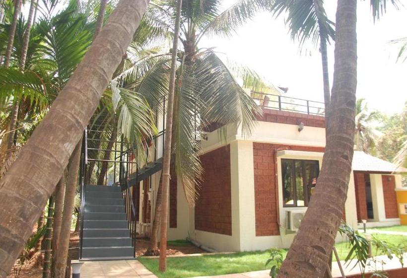 Hotel Nivaant Holidays Alibug