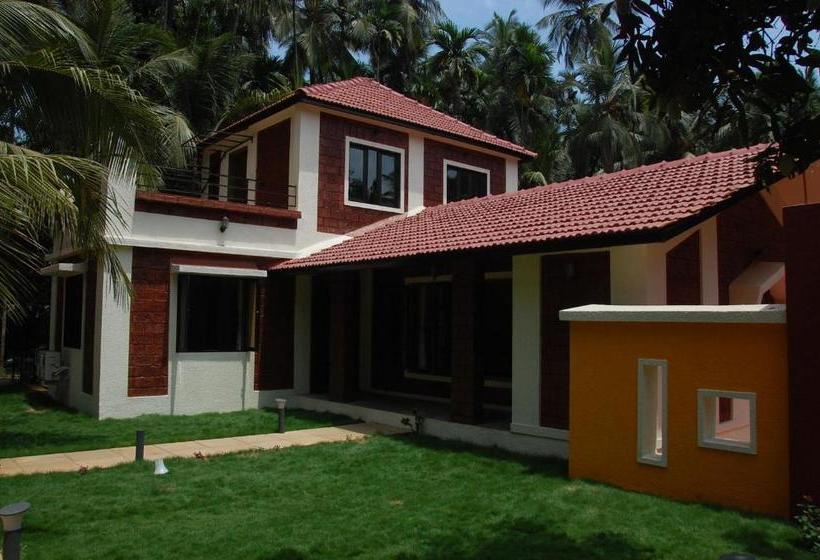 Hotel Nivaant Holidays Alibug