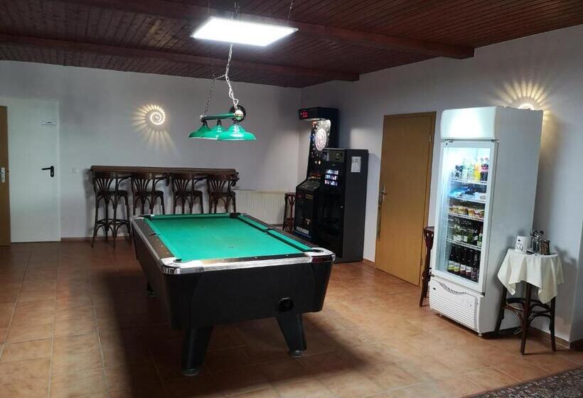 Pension Zentrum Riesa