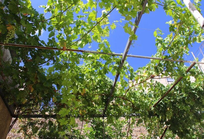 Shurooq Shams Hotel & Tours By Sunrise