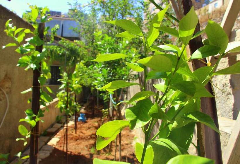 Shurooq Shams Hotel & Tours By Sunrise