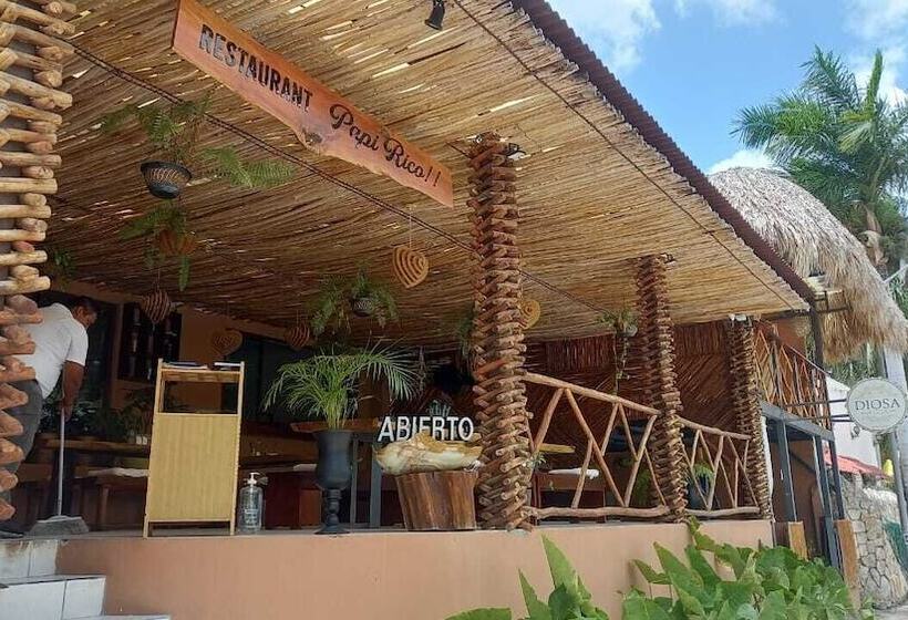 Отель Diosa Del Agua Bacalar