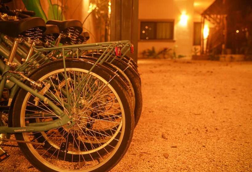 Отель Diosa Del Agua Bacalar