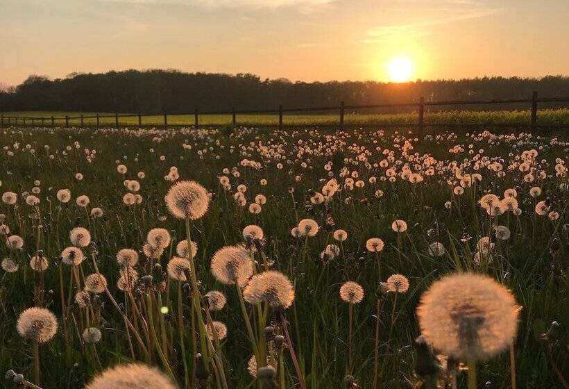 فندق Soeder Countryhouse & Kitchen