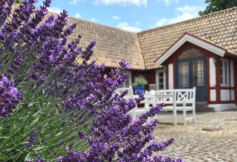 فندق Soeder Countryhouse & Kitchen