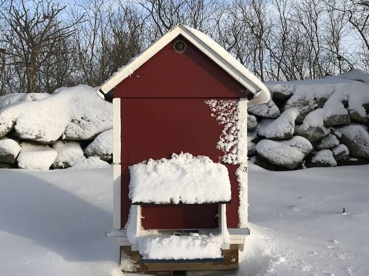 فندق Soeder Countryhouse & Kitchen