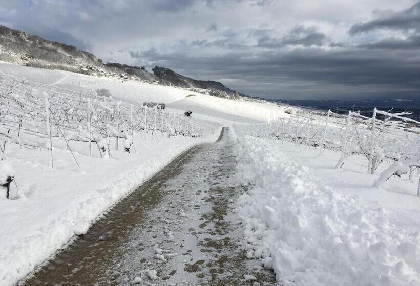 膳宿费 Domaine Beauregard