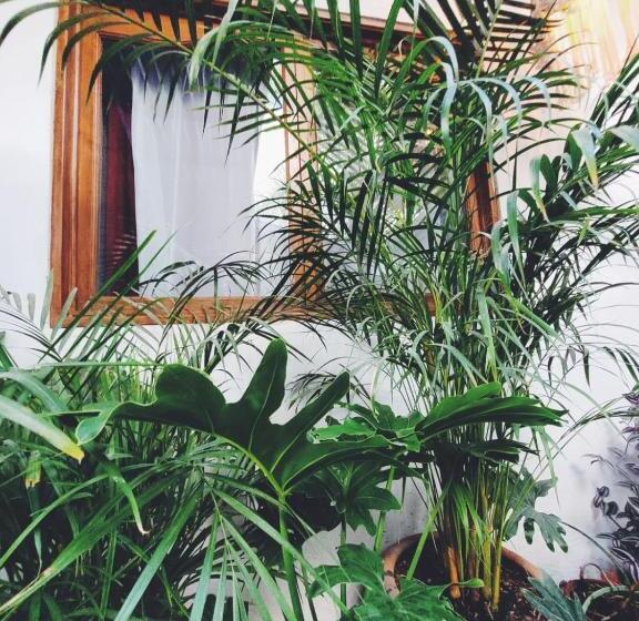 ペンション Hoja Santa Posada