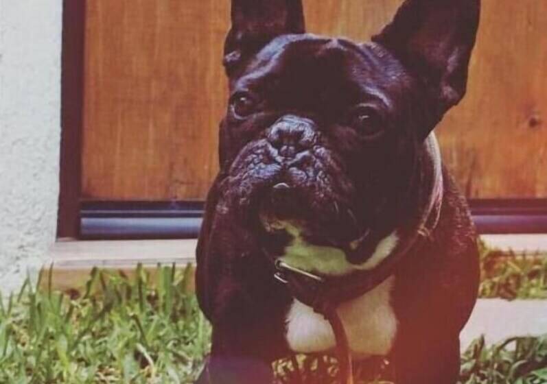 ペンション Hoja Santa Posada