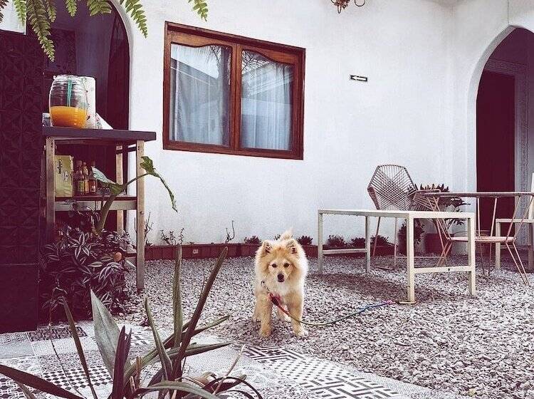 ペンション Hoja Santa Posada