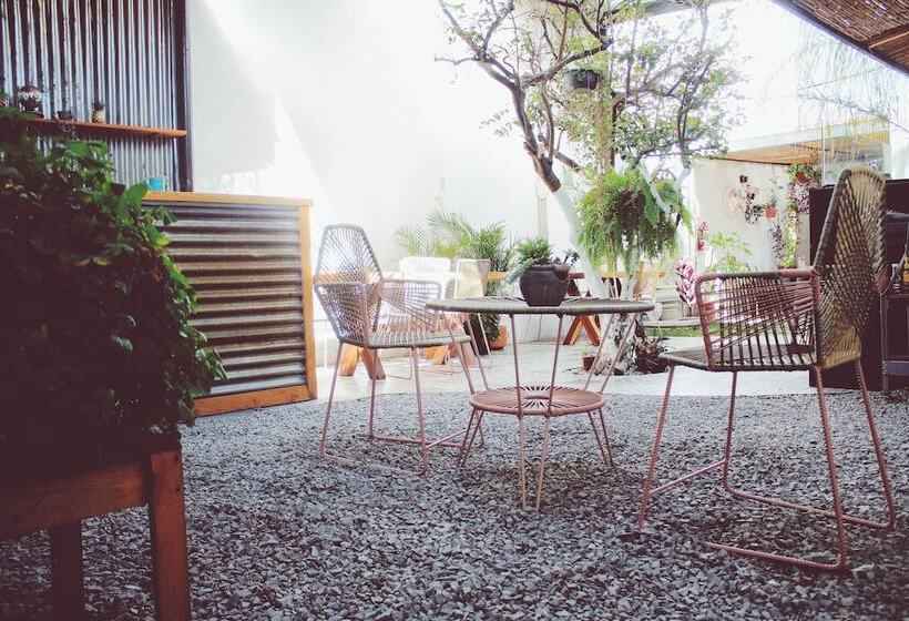 ペンション Hoja Santa Posada