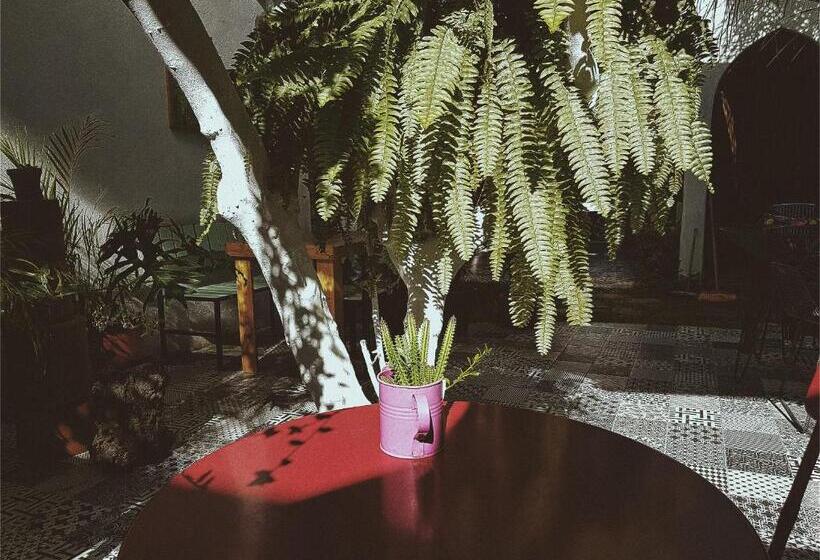 ペンション Hoja Santa Posada