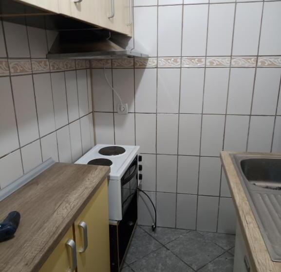 پانسیون Mini Garsonjera