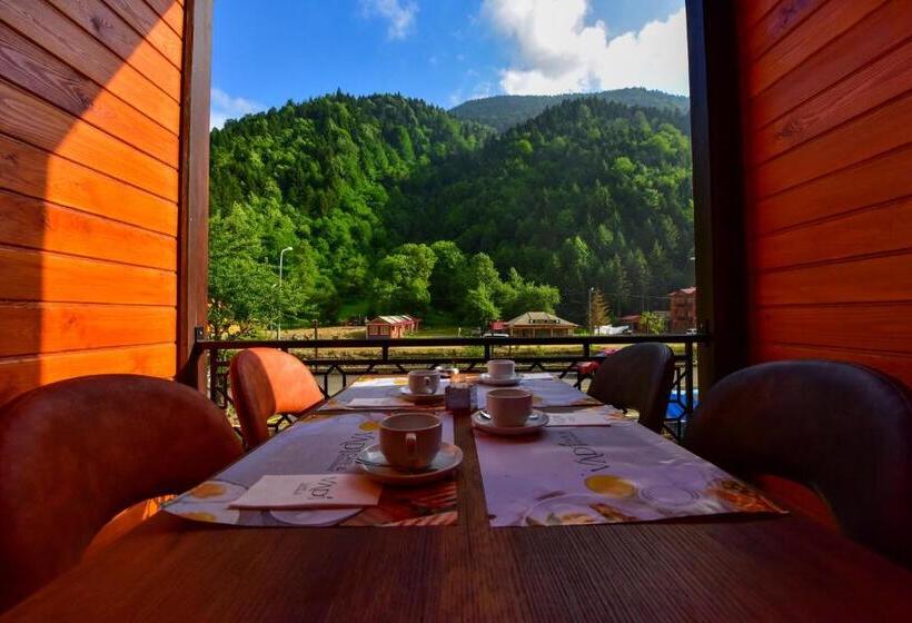 בית מלון כפרי Vadi̇ Uzungöl