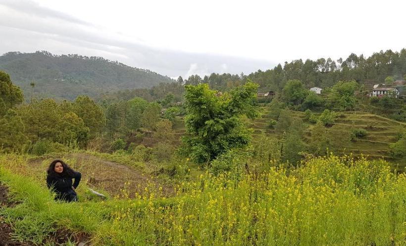 הוסטל Stars & Pines