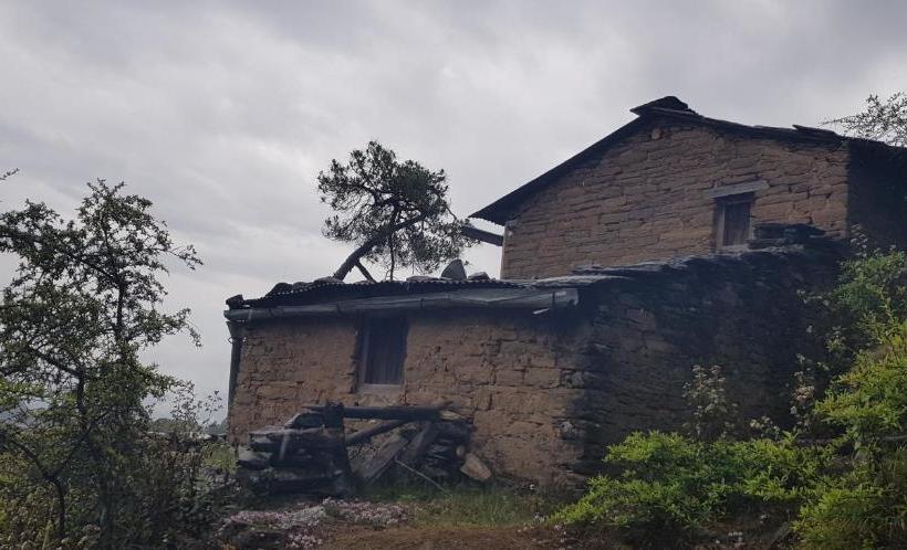 הוסטל Stars & Pines