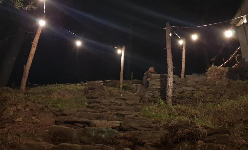 הוסטל Stars & Pines