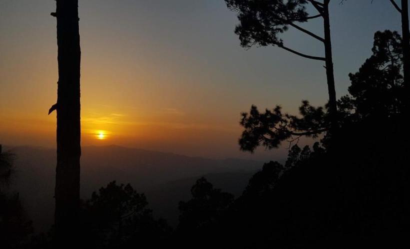 הוסטל Stars & Pines