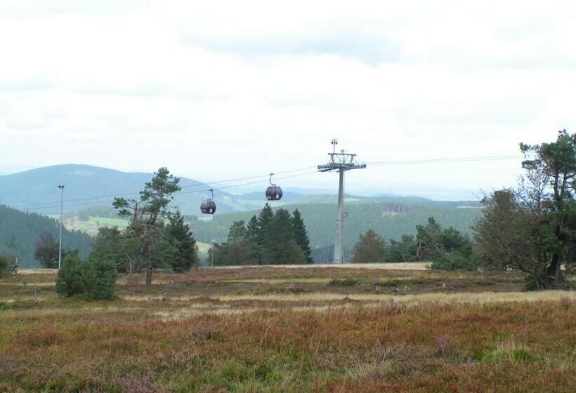 Bed And Breakfast Isidorus