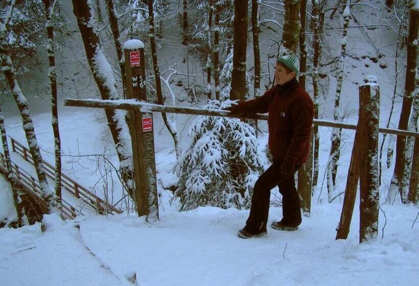 Bed And Breakfast Isidorus