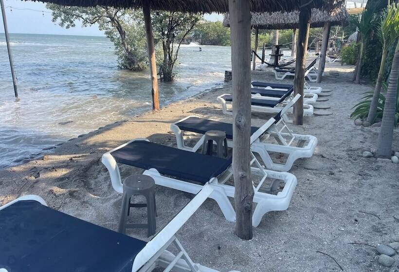 مبيت وإفطار San Carlos Surf Resort & Eco Lodge