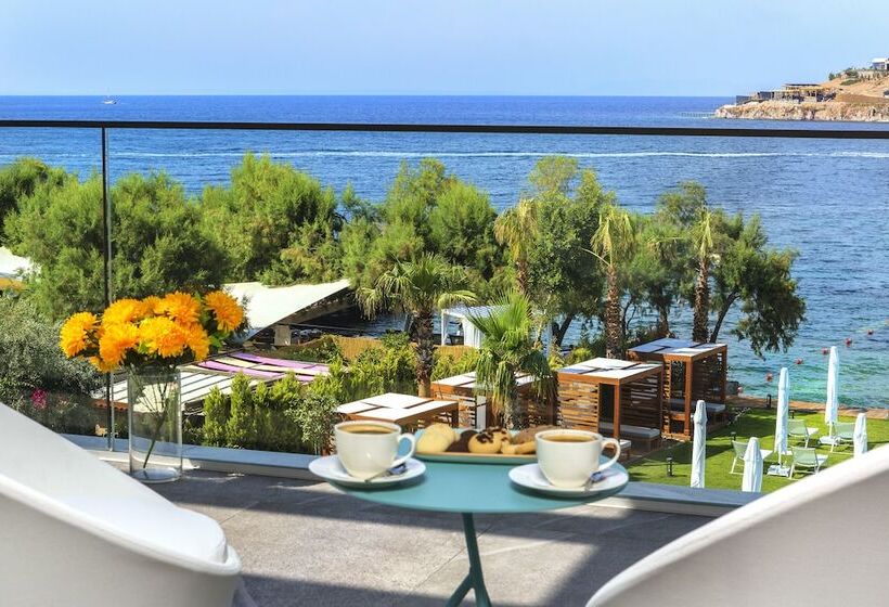 Arts Hotel Bodrum Yalikavak