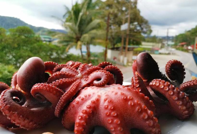 בית מלון כפרי Pura Vida Backpackers Golfito