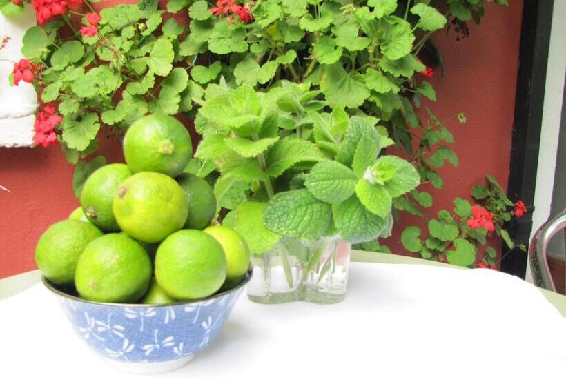 酒店 Rolfs Country House