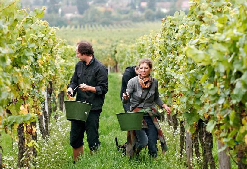 ペンション Gästehaus Susanne Pfaffmann