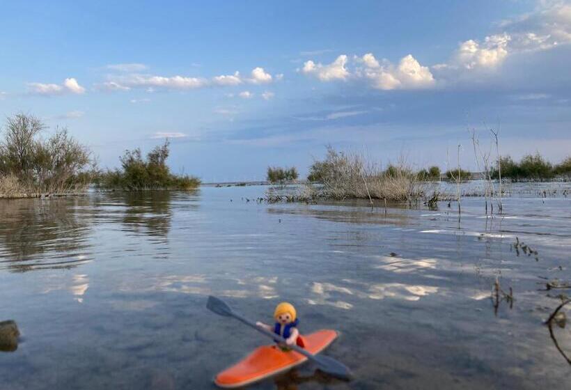 مبيت وإفطار Loteta Experience