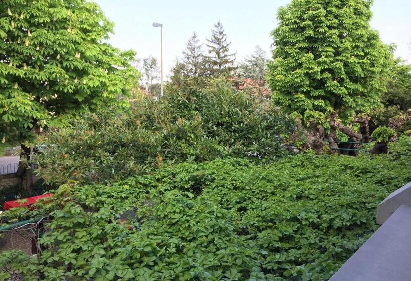 فندق Al Pescatore