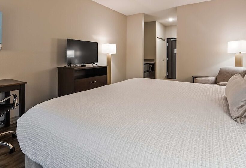 酒店 Best Western Plus Saint Peter