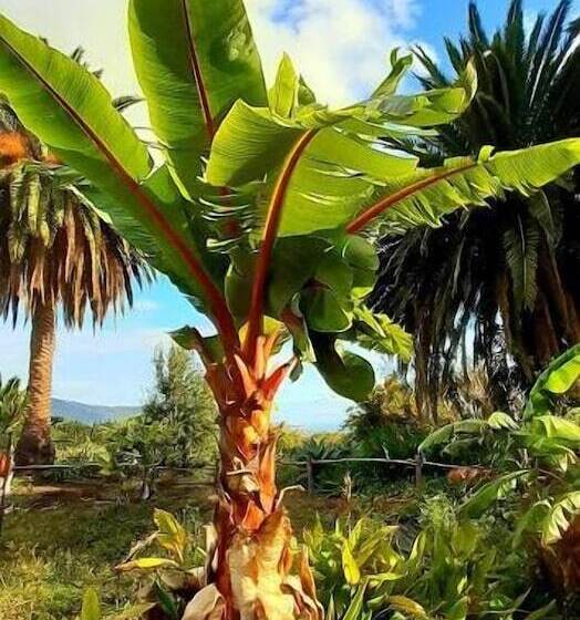 هتل Finca La Principal