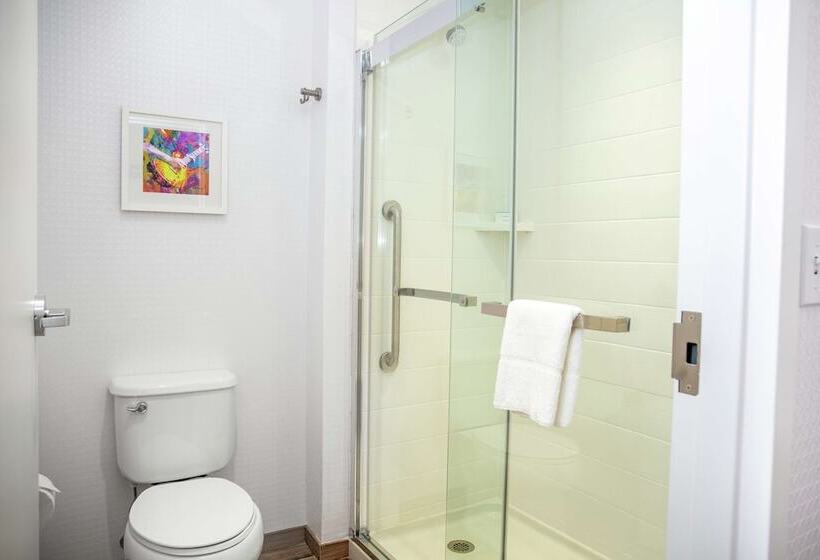 هتل Hampton Inn & Suites Bridgeview Chicago